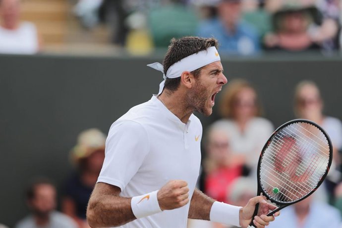 Del Potro celebra su victoria en Wimbledon