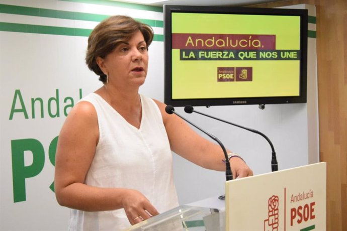 El PSOE de Málaga reivindica su papel feminista y apuesta por seguir trabajando 