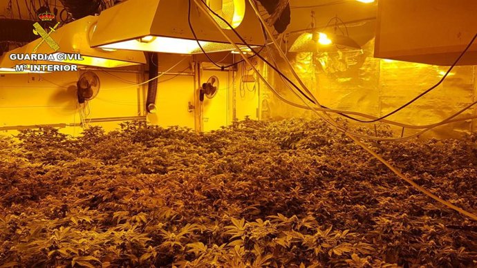 La Guardia Civil decomisa 4,8 quilogramos de marihuana en casas ocupadas de Sant