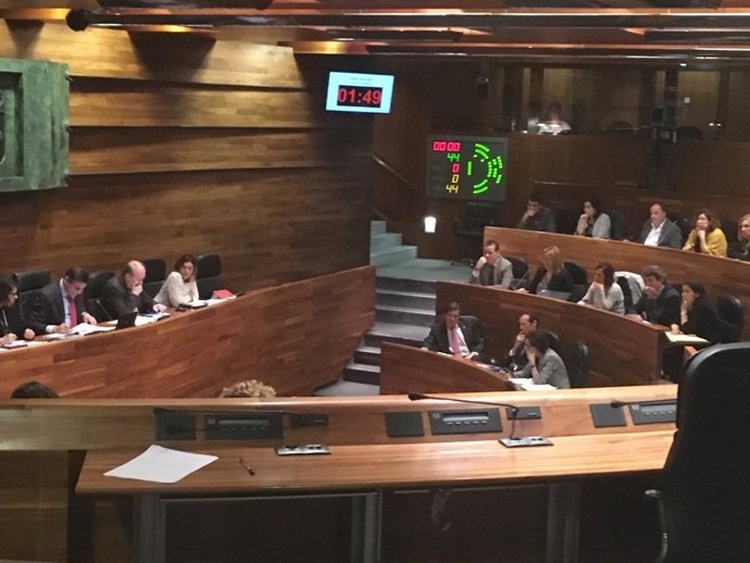 Pleno de la Junta General