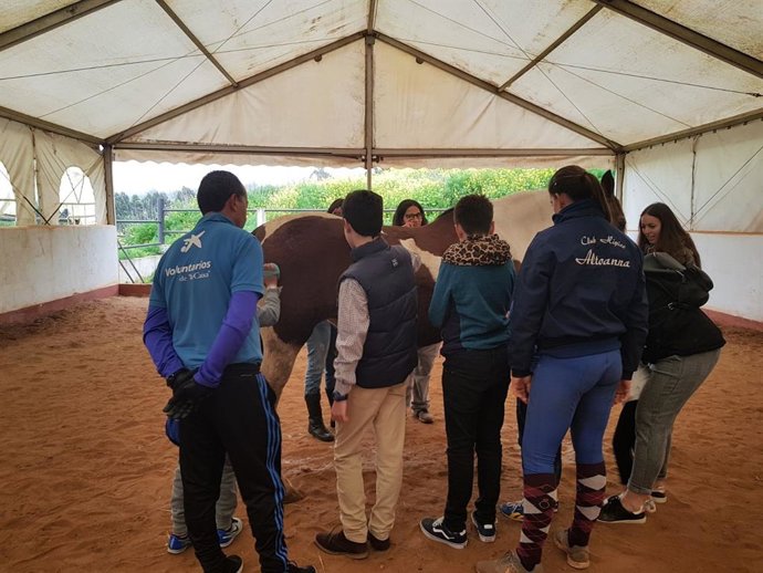 Doce personas con discapacidad intelectual participan en una sesión de equinoter