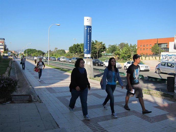 UMA, Universidad, Facultad, Estudiantes, Universitarios