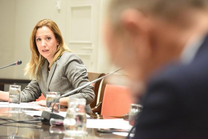 Rosa Dávila, en la comisión