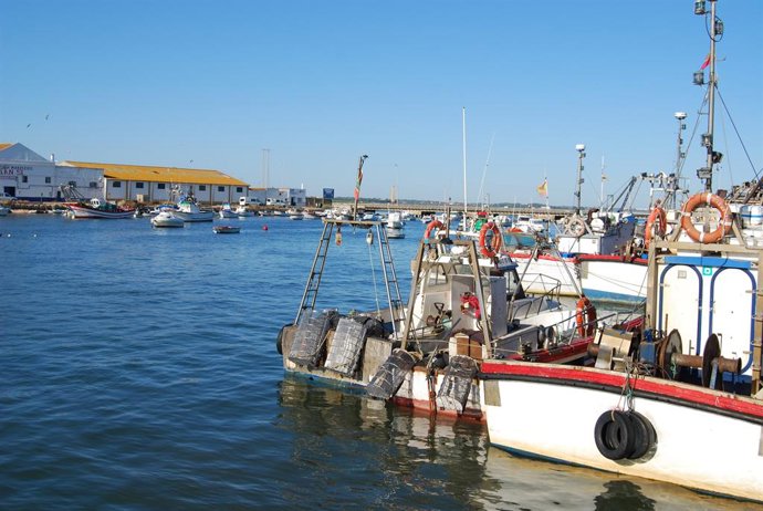 Puerto pesquero de Isla Cristina (Huelva)