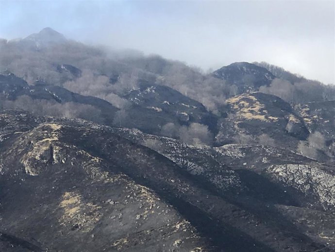 FNYH avisa de que el Hayedo de la Zamina está "arrinconado" por los incendios