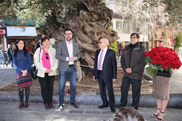 L'alcalde de Palma, Antoni Noguera, inaugura la placa commemorativa de l'olive