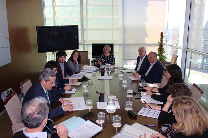 Consell desenvolupar un programa per a reparar vivendes buides de particulars i