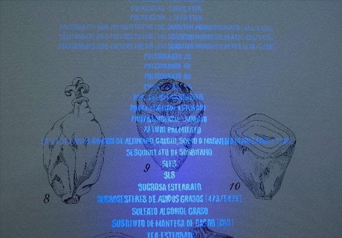 Obra de Luna Bengoechea, 'Elaeis Guineensis bulbo', que participa en Drawing Roo