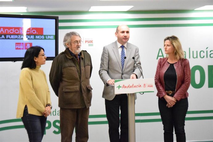 El PSOE insta a la Junta a reactivar el proyecto del auditorio