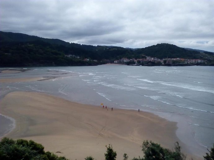 CES pide que la Ley de Conservación del Patrimonio Natural incluya las áreas mar