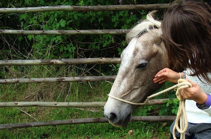 La terapia con caballos durante seis meses mejora síntomas en esclerosis múltipl