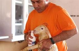 Azucarera lanza su nueva gama de productos prebióticos para la alimentación anim