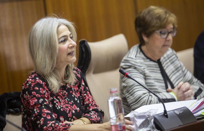 Comparecencias en comisión parlamentaria de las consejeras de Cultura y Patrimon