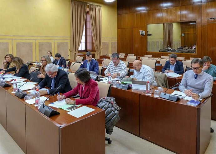 Comisión de control de la Radio Televisión de Andalucía (RTVA) y de sus sociedad