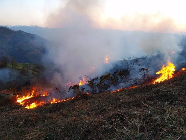 Distintos incendios forestales activos en Asturias