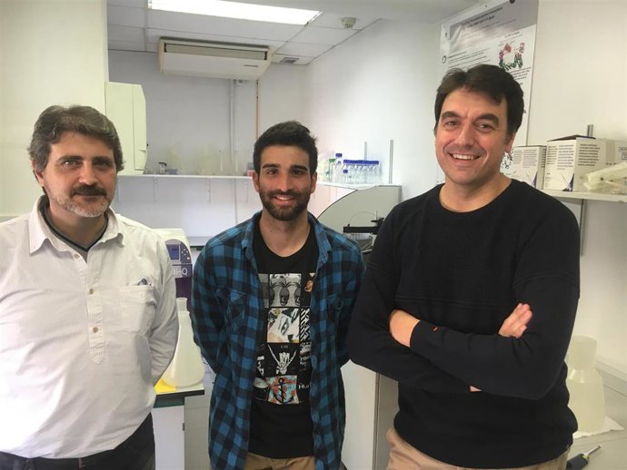 Investigadores de la Universitat de Barcelona (UB)