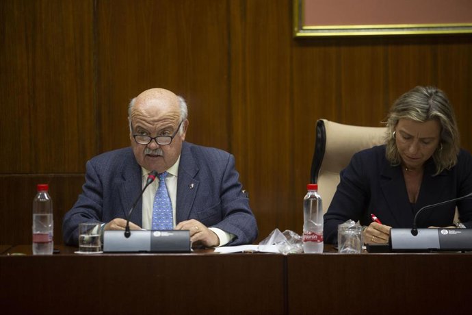 Comisión parlamentaria del consejero de Salud y Familias, Jesús Aguirre