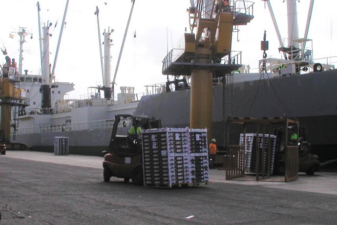 Exportación de tomate canario