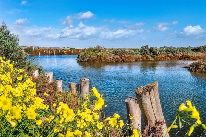 Cádiz.-La obra 'Mira, escucha y calla' gana el concurso de fotografía del Día de