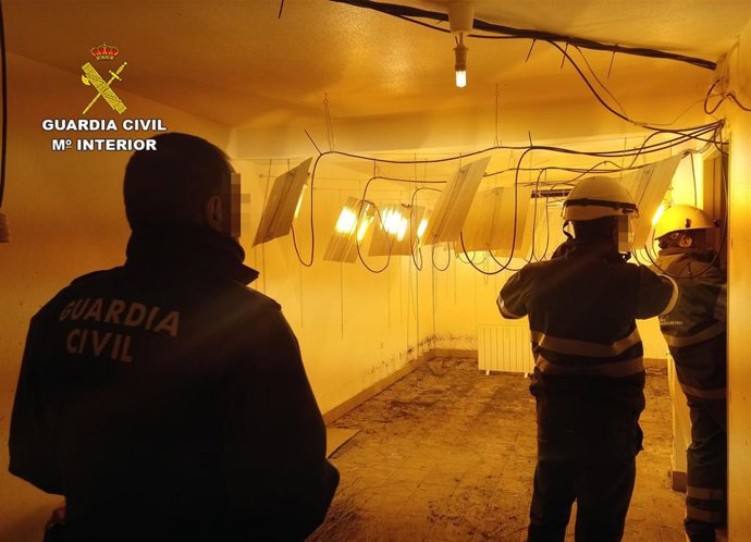 Agentes de la Guardia Civil en el invernadero clandestino de cultivo de marihuan