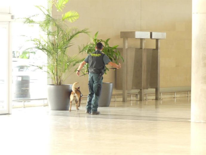 El aeropuerto de Fuerteventura ensaya cómo actuar frente a un artefacto explosiv