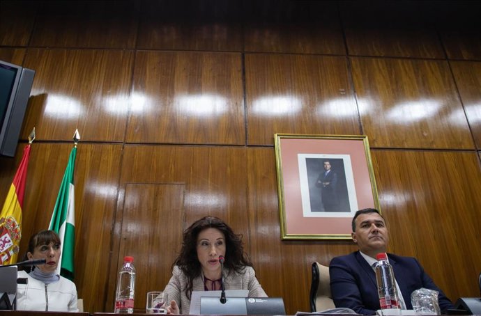 Ruiz afea que "solo se hayan ejecutado 56,9 millones" de los 198 millones a carg