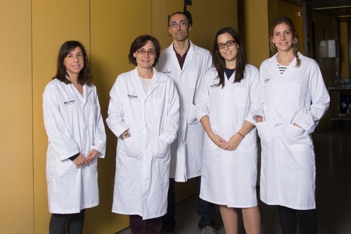 Hallan nuevas dianas para tratar el glioblastoma, tumor cerebral con pocas opcio