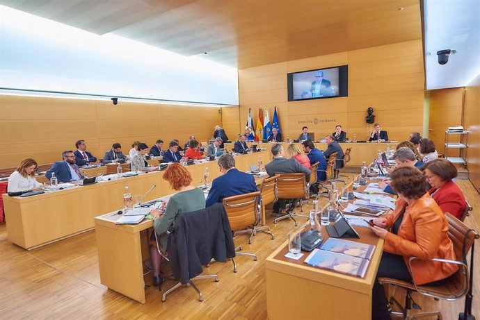 AMPL.- Alonso reclama "unidad" para defender a Tenerife en medio de reproches y 