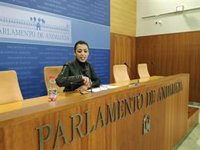 Bosquet asegura que Vox no ha querido reformular su petición sobre trabajadores de violencia durante la Mesa