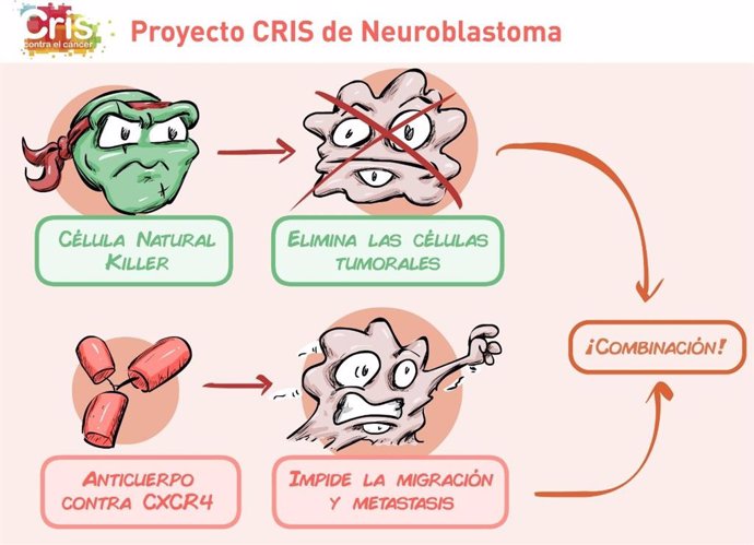 CRIS lanza un estudio sobre la aplicación de inmunoterapia en neuroblastomas ped