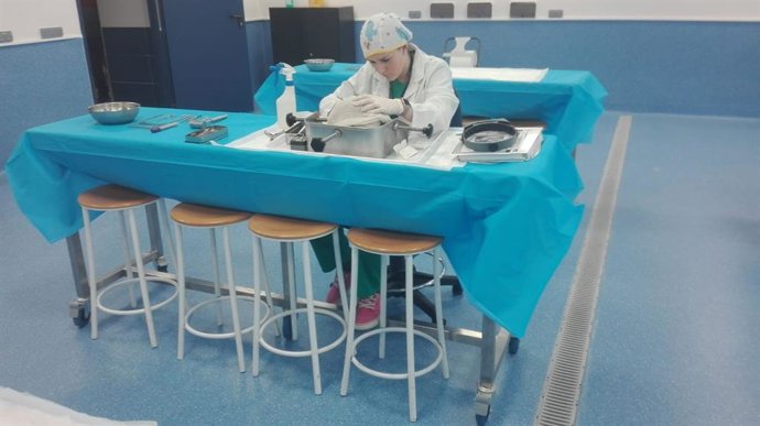 La Complutense estrena Centro de Donación de Cuerpos que acaba con el "impacto t