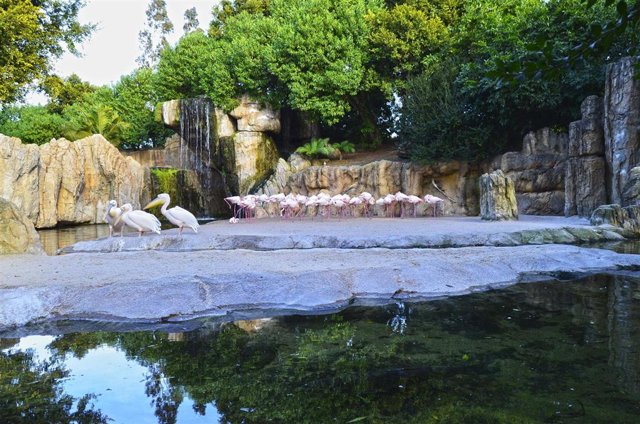 Bioparc celebra los humedales