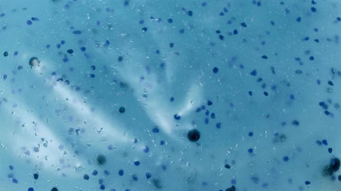 Microplásticos en el agua