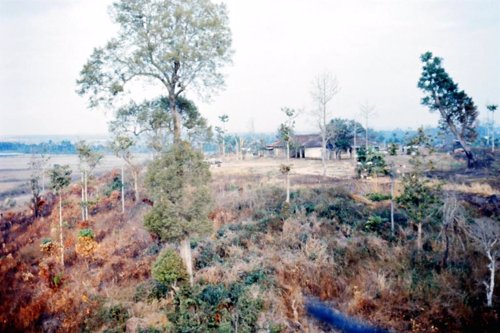 Efectos del agente naranja perdurarán siglos en el paisaje de Vietnam