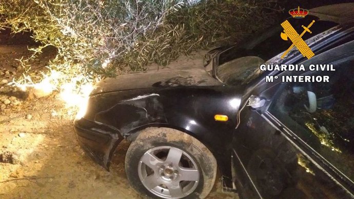 El vehículo tras impactar contra unos olivos