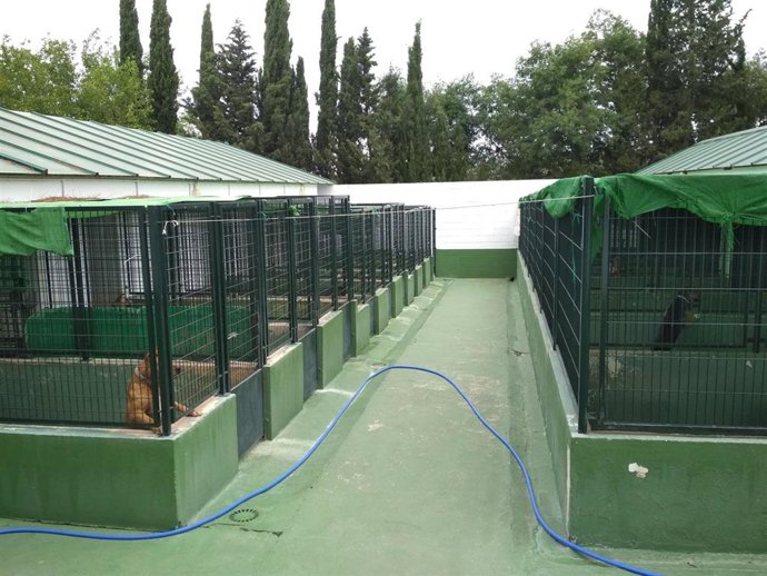 Centro zoosanitario de Mérida. Perrera, perros abandonados en Mérida
