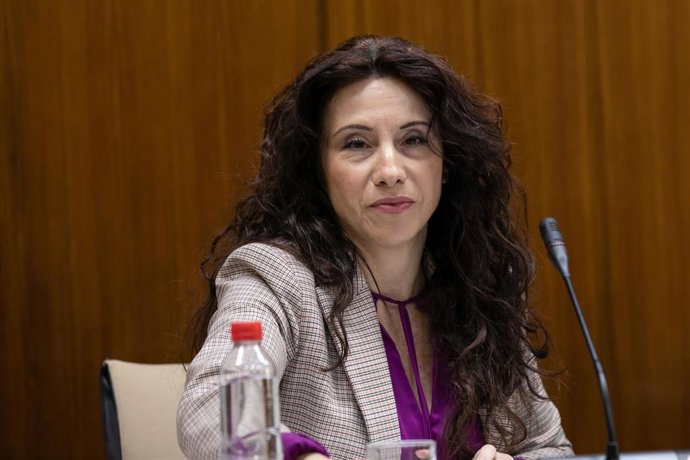 Rocío Ruiz, comparece en comisión parlamentaria