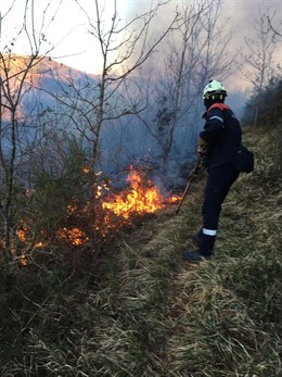 Bomberos trabajan en la extinción de incendios forestales en Goizueta, Irurita y