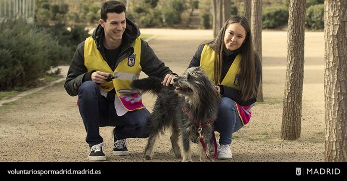 El Ayuntamiento lanza la campaña Voluntarios por Madrid