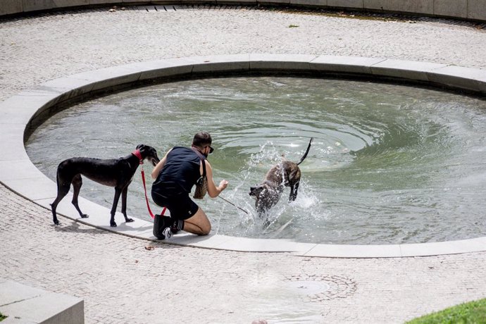 Foto de recurso de la ola de calor de la primera semana de agosto de 2018