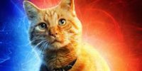 La kryptonita de Capitana Marvel son... los gatos