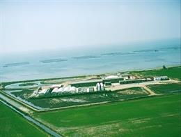 Producció del mollusc del delta de l'Ebre