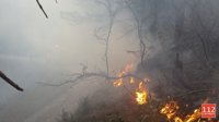 Actius 17 incendis a Cantbria, preocupants a Penagos, Aes, Bárcena i Cosío, i s'esperen dos helicpters de l'Estat