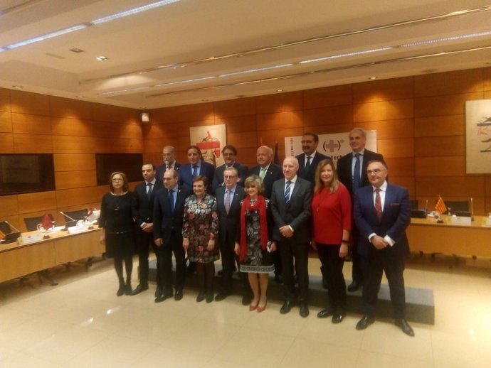 Consejeros de Sanidad y MInistra de Sanidad, María Luisa Carcedo,  en el Consejo