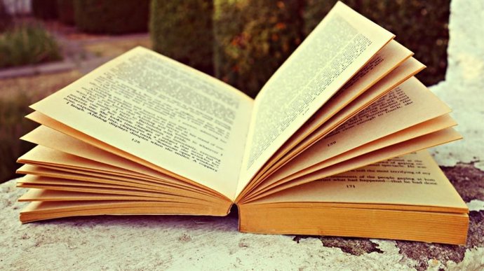 Imagen de recurso de un libro 