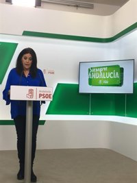 PSOE-A ve "indecente" que Marín diga que altos cargos "cobran poco" mientras Cs "intenta vetar la subida del SMI"