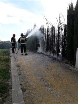 Jaén.- Sucesos.- Segundo incendio en ocho días en los cipreses del parque Andrés
