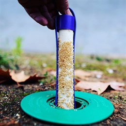 Piden coordinación y declarar el 'estado de emergencia' para evitar que la plaga