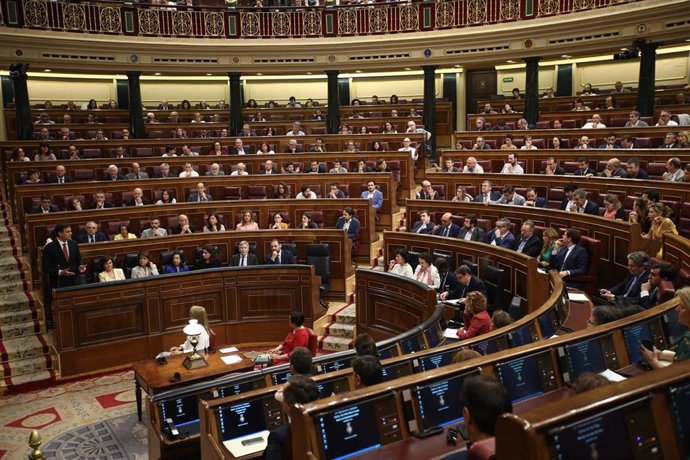 Pedro Sánchez y los diputados del Grupo Socialista