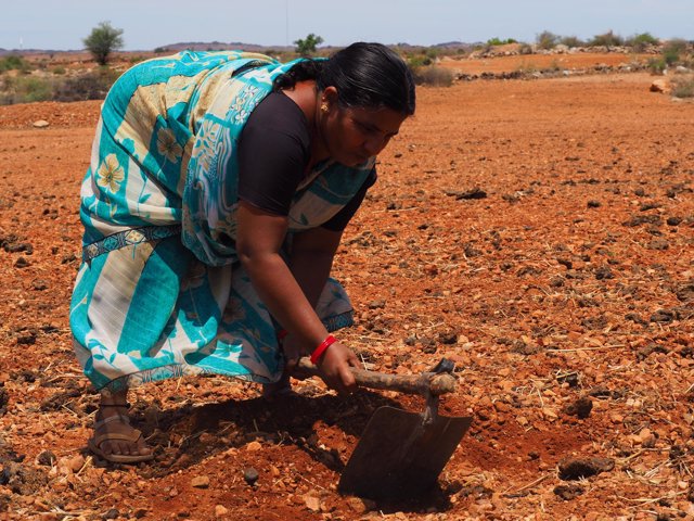 Durgamma trabajando en el campo